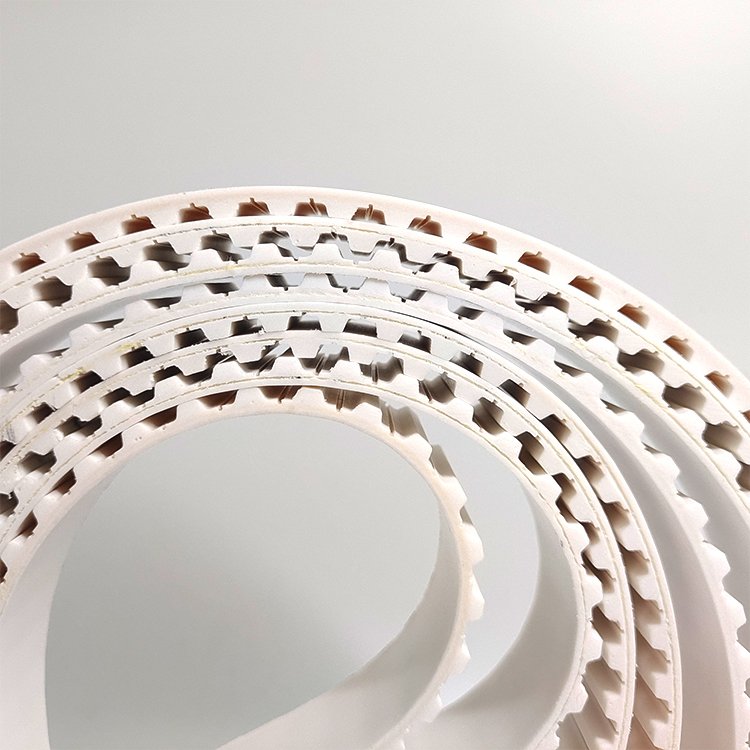 oil resistant high strength toothed belt drive belt