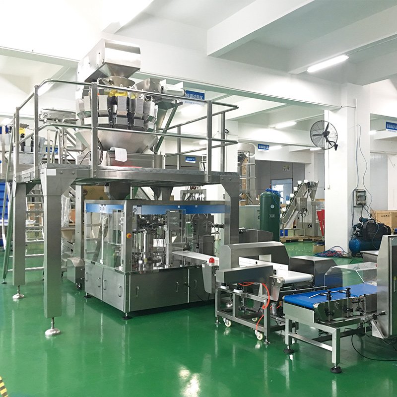 Automatic High Speed 10 Head Weigher Premade Pouch Doypack Puffed Food Vacuum Rotary Bag Packing Machine