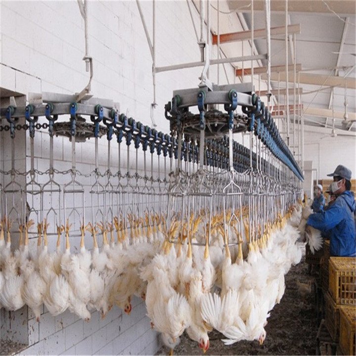 Auto Chicken Slaughtering Machine Line Poultry Processing Equipment