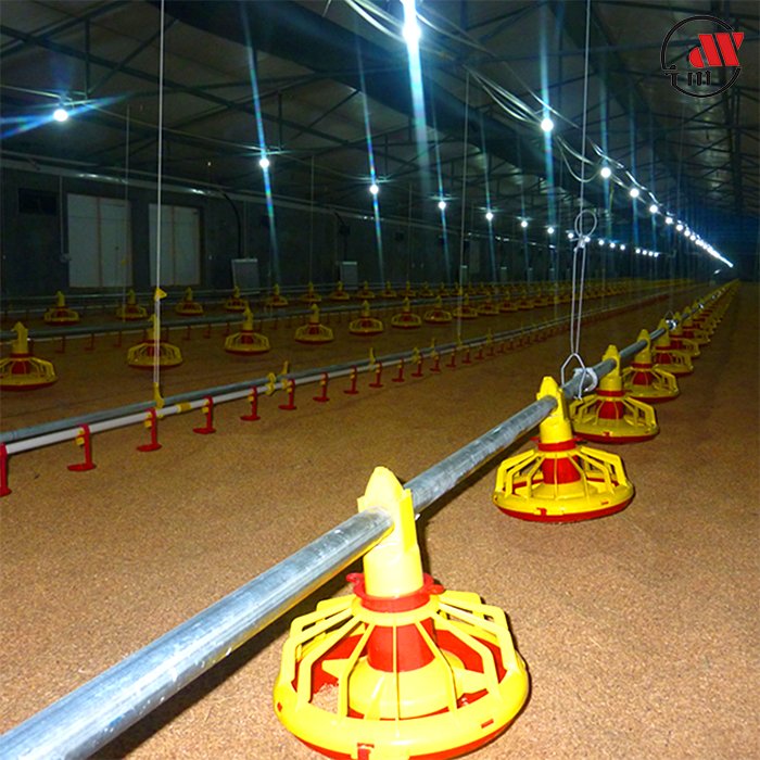 Whole Sale Broiler Chicken Auto Auger Pan Feeder