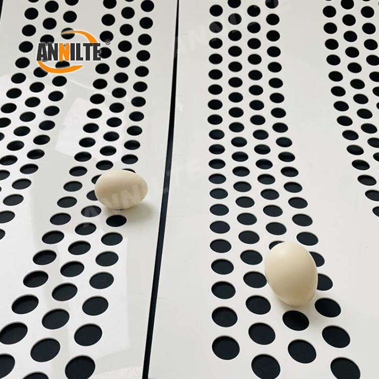 Annilte Reinforced Perforated Polypropylene Egg Belt for poultry farm