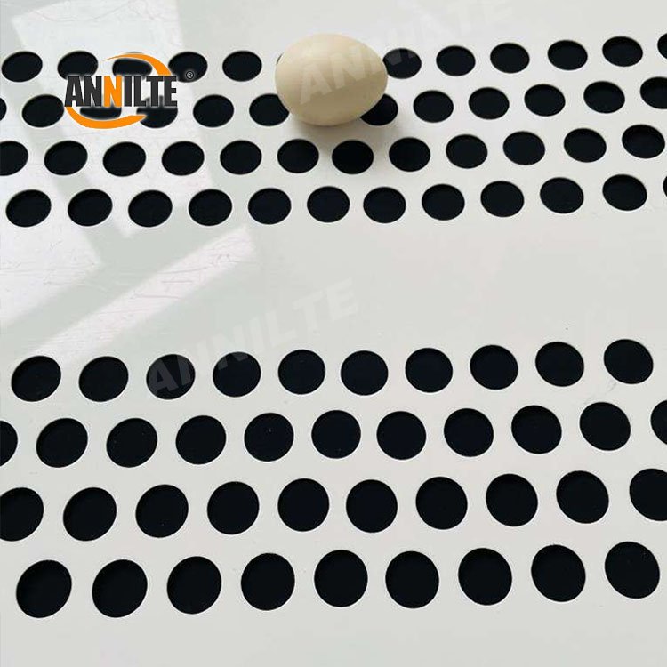 Annilte Reinforced Perforated Polypropylene Egg Belt for poultry farm