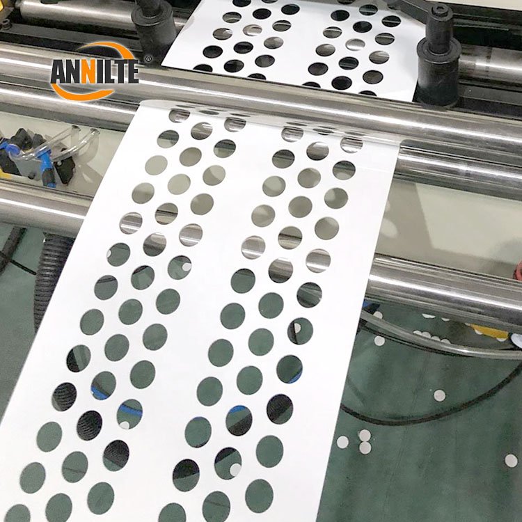 Annilte Reinforced Perforated Polypropylene Egg Belt for poultry farm
