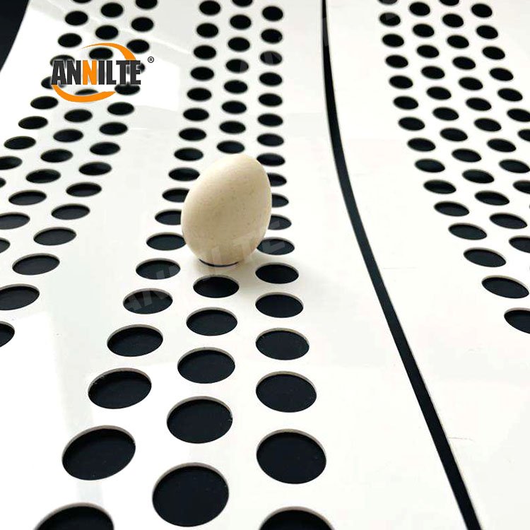 Annilte Reinforced Perforated Polypropylene Egg Belt for poultry farm
