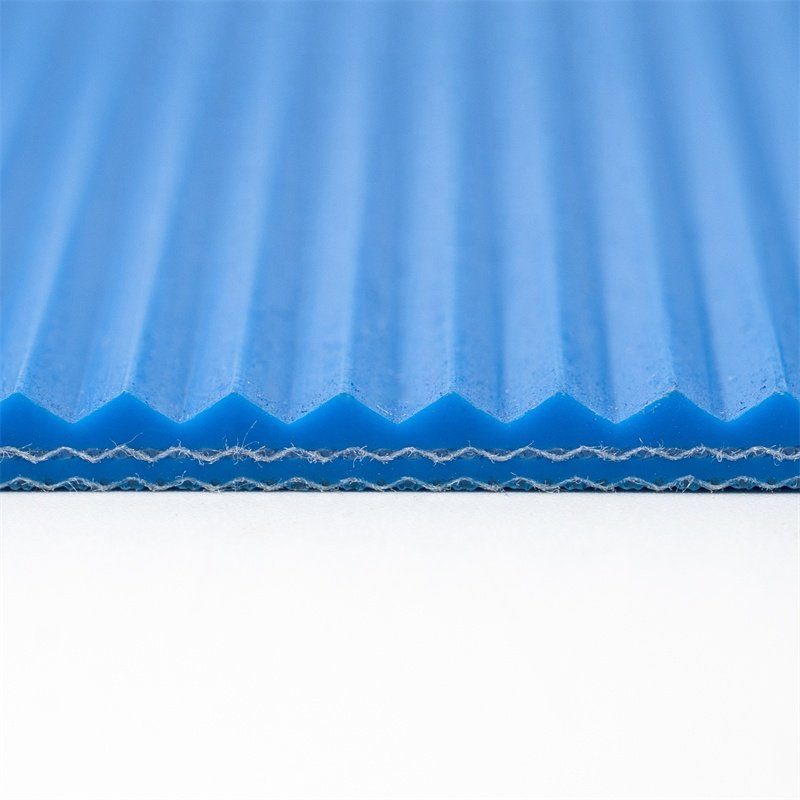 High Quality Custom Blue Baking & Food Sanitary Conveyor belt