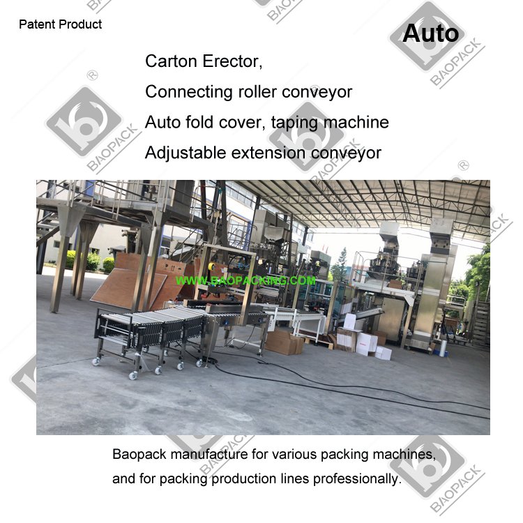 Baopack VP42 Potato Chips Cornflakes Auto Packing Production Line with Carton Erector, Carton Sealer