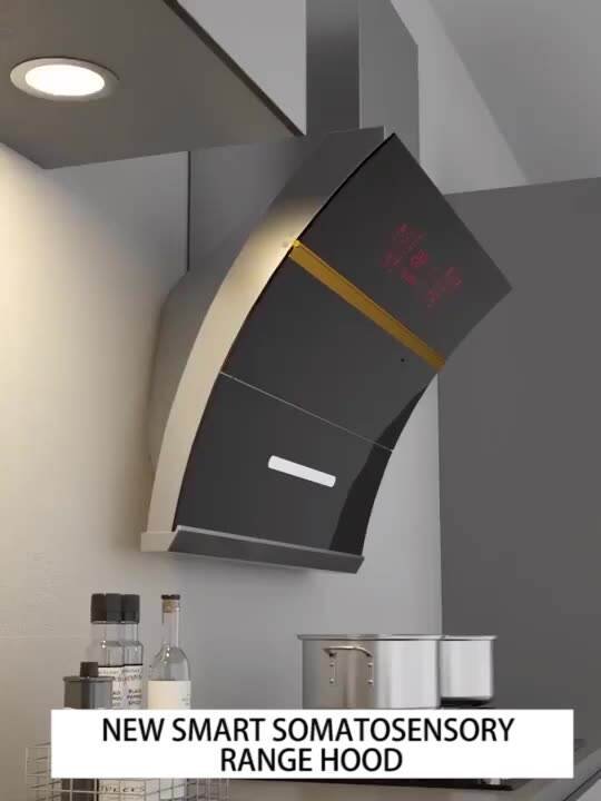 Super Strong Suction International Version Side Range Hood with CE Certification and Double Motors Kitchen Chimney