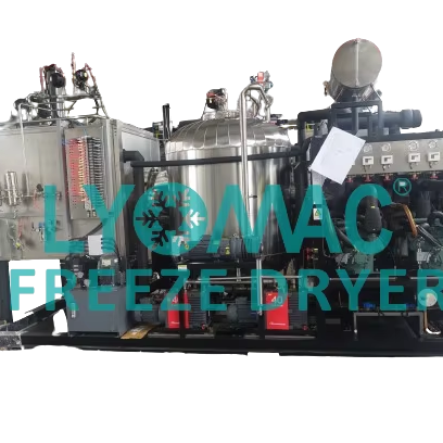 100 Liters Pharmacuticals Freeze Dryer Automatic Loading and Unloading Freeze Drying Machine Sublimation