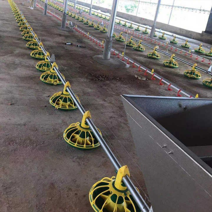 Poultry Automatic Feeding System for Broiler Farm Poultry Farming Equipment /Broiler Pan Feeder/poultry Feeding Line System