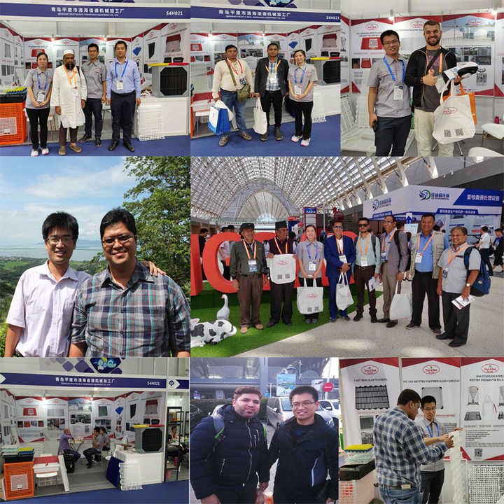 Poultry Automatic Feeding System for Broiler Farm Poultry Farming Equipment /Broiler Pan Feeder/poultry Feeding Line System