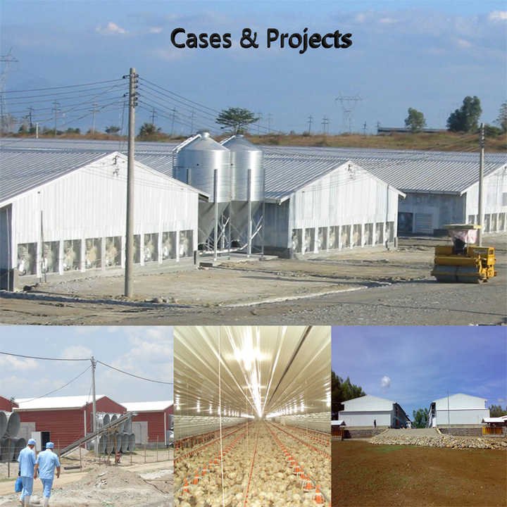 Poultry Automatic Feeding System for Broiler Farm Poultry Farming Equipment /Broiler Pan Feeder/poultry Feeding Line System