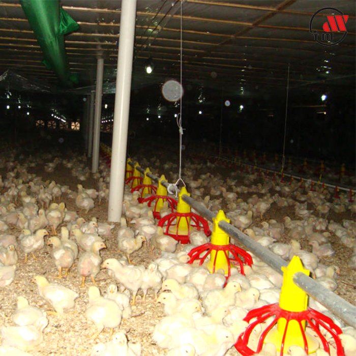 Top Quality Automatic Chicken Poultry Farming Feeder