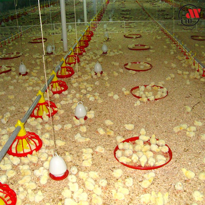 Top Quality Automatic Chicken Poultry Farming Feeder