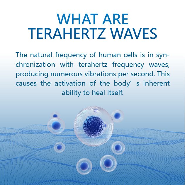 Terahertz Therapy Device for Sciatica and Lower Back Pain Relief Physical Therapy Equipment