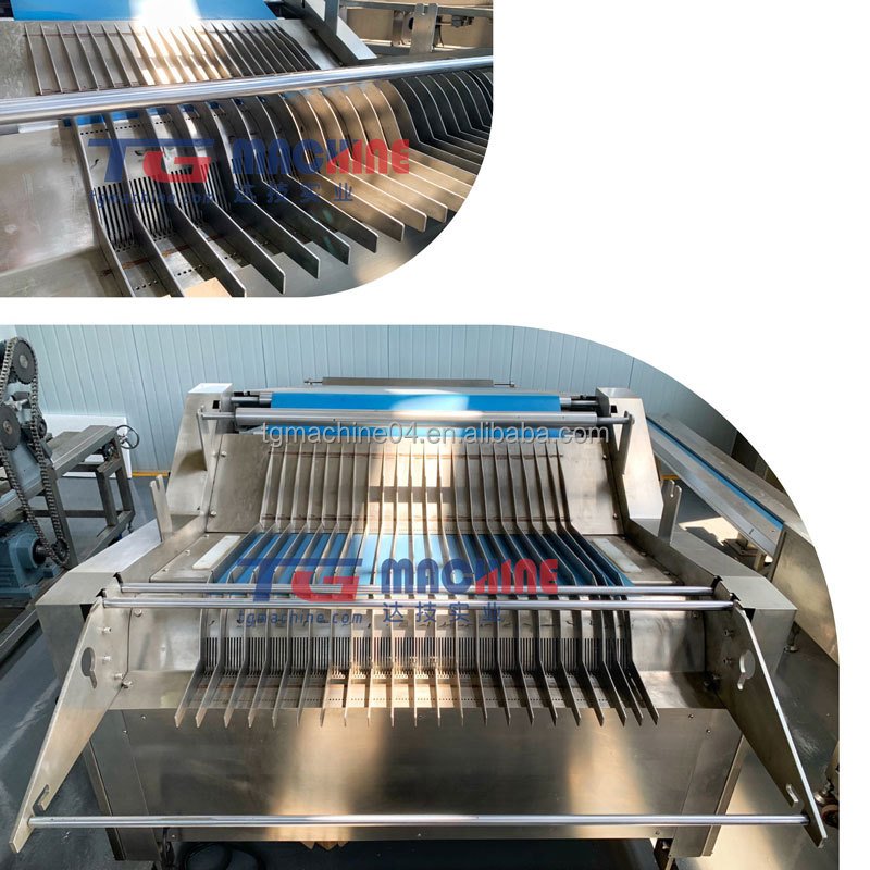 Customized Baking Production Line for Biscuits Fully Automatic Soft and Hard Biscuit Machine