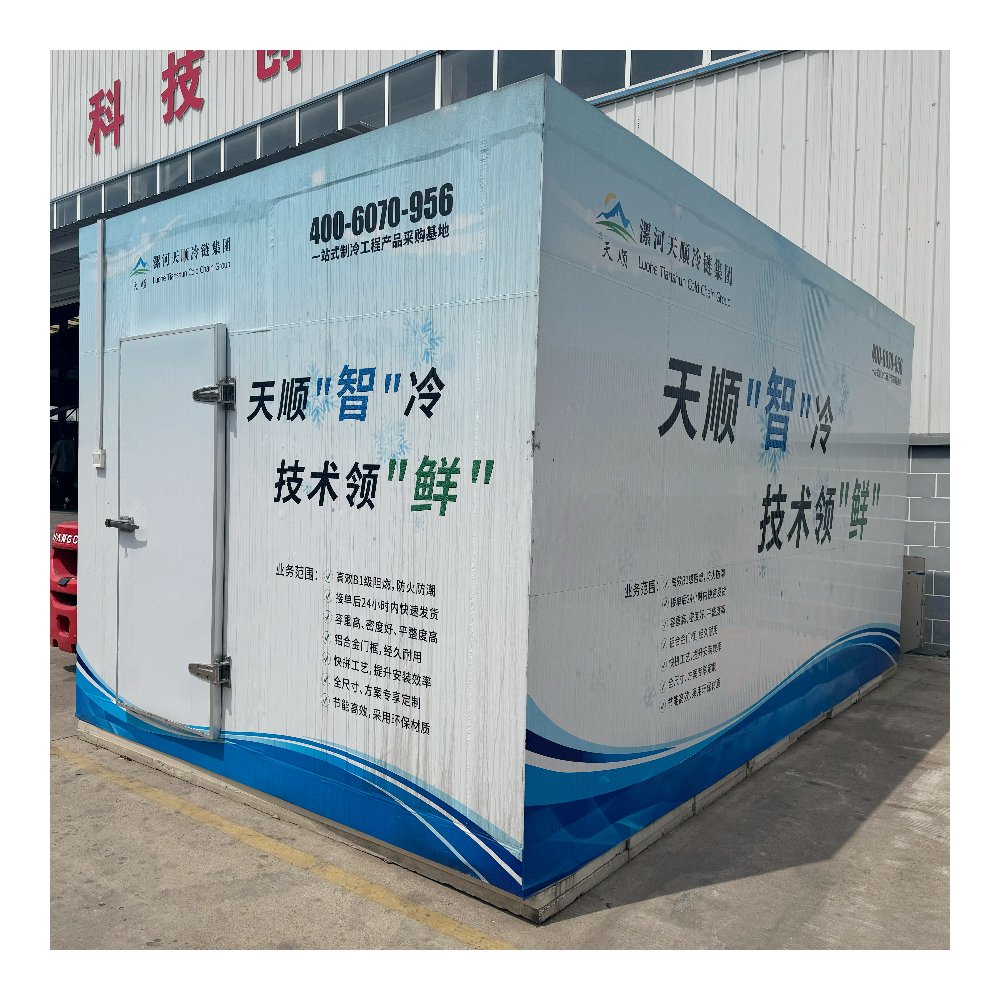 Mobile Container Cold Storage Walk in Cooler Storage Room for Meat 20FT Container Freezer