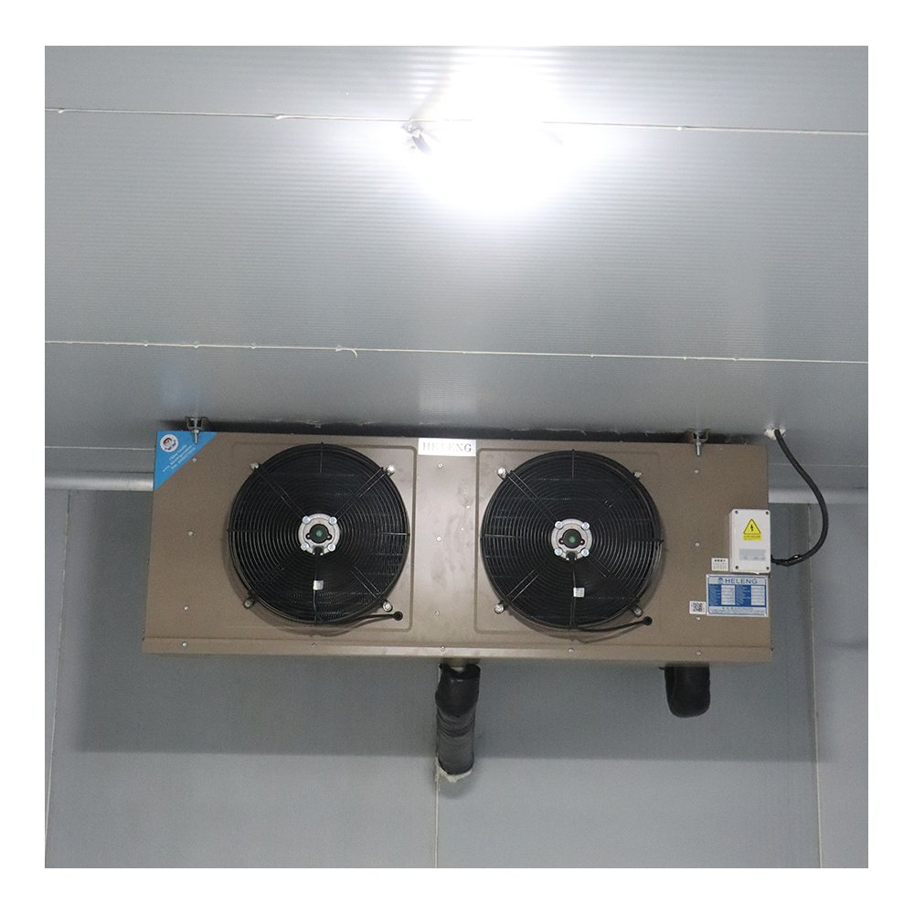 Mobile Container Cold Storage Walk in Cooler Storage Room for Meat 20FT Container Freezer