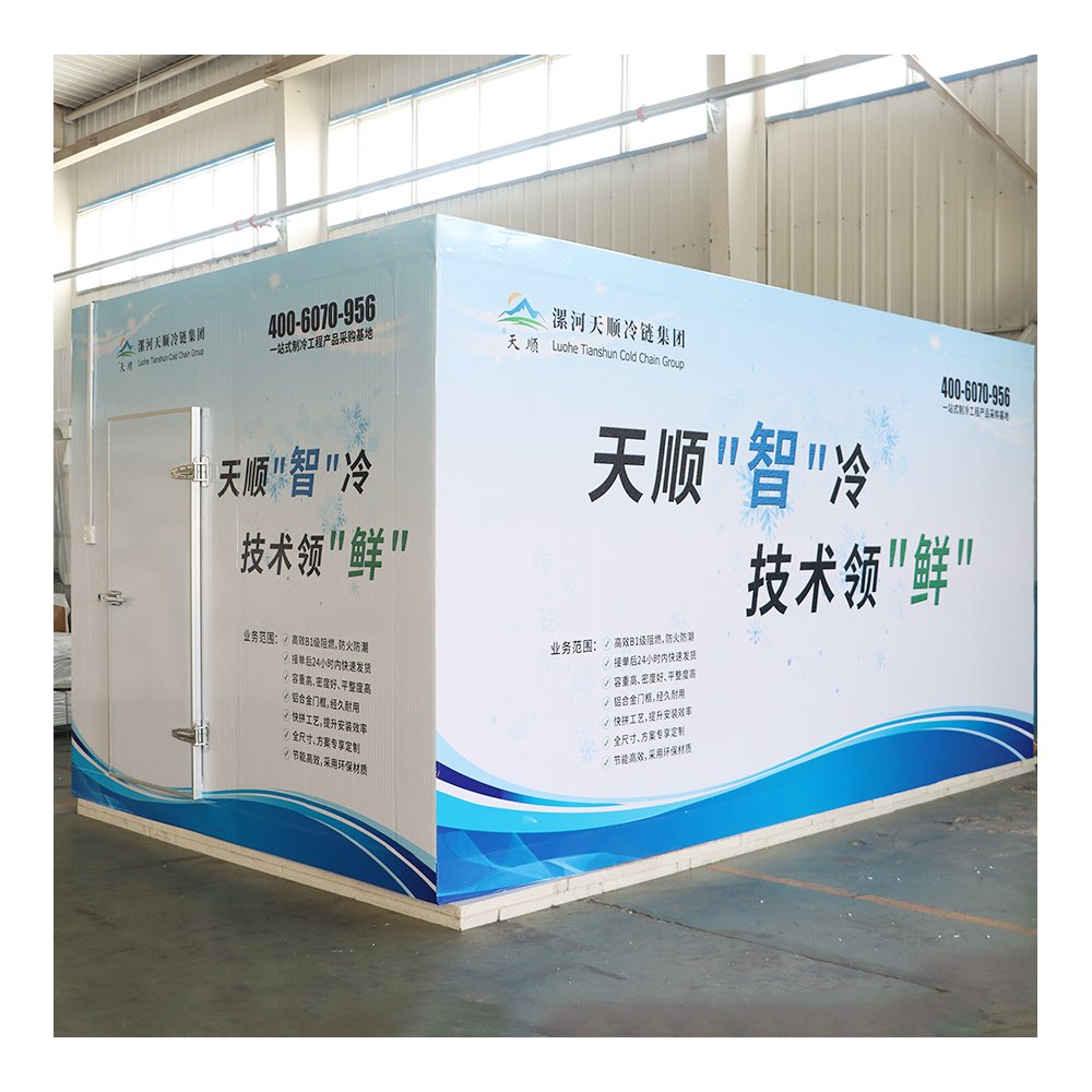 Mobile Container Cold Storage Walk in Cooler Storage Room for Meat 20FT Container Freezer