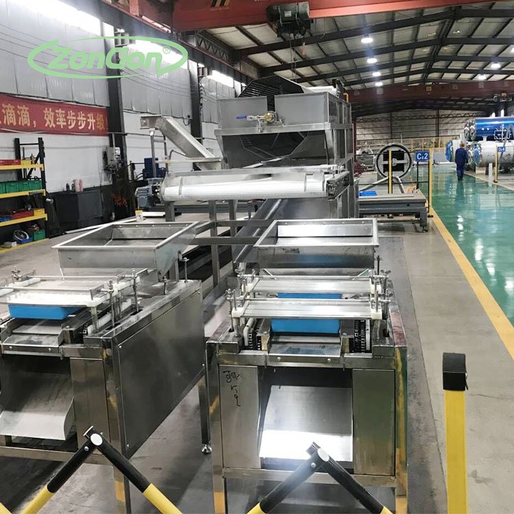 Quail Egg Processing Line Auto Peeling and Auto Shelling