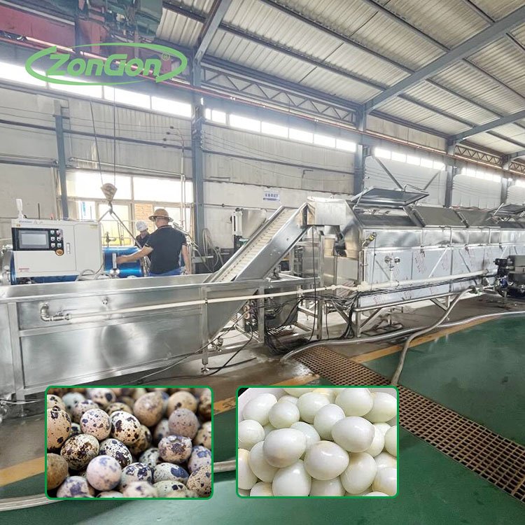 Quail Egg Processing Line Auto Peeling and Auto Shelling