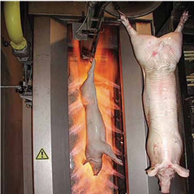 Small Slaughterhouse Slaughtering Equipment/automation