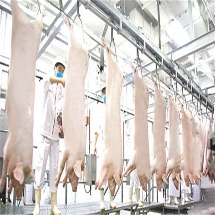 Small Slaughterhouse Slaughtering Equipment/automation