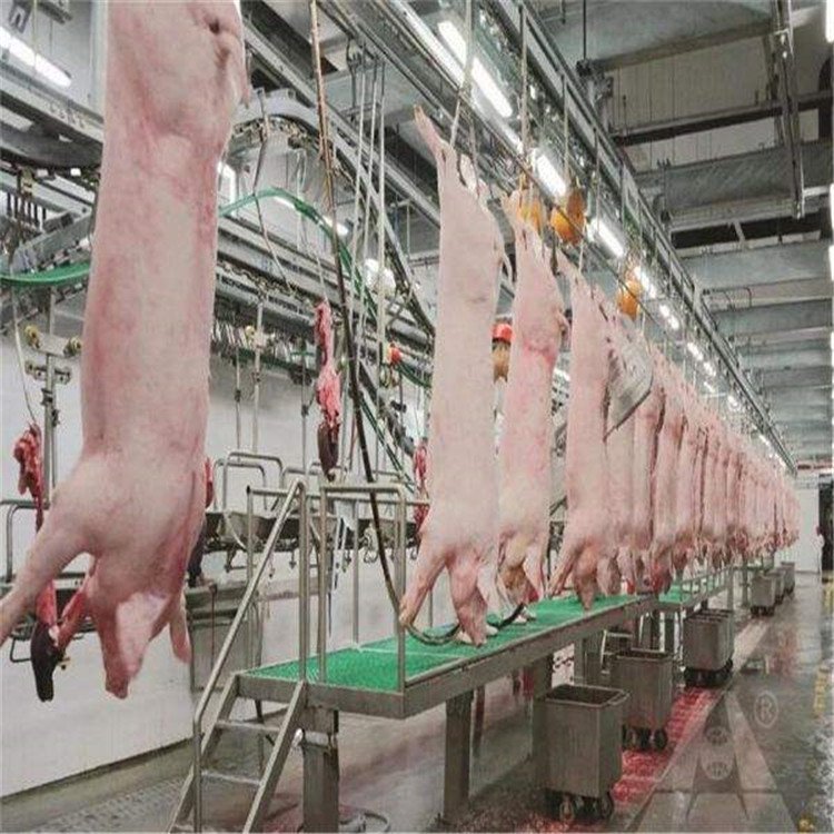 Small Slaughterhouse Slaughtering Equipment/automation