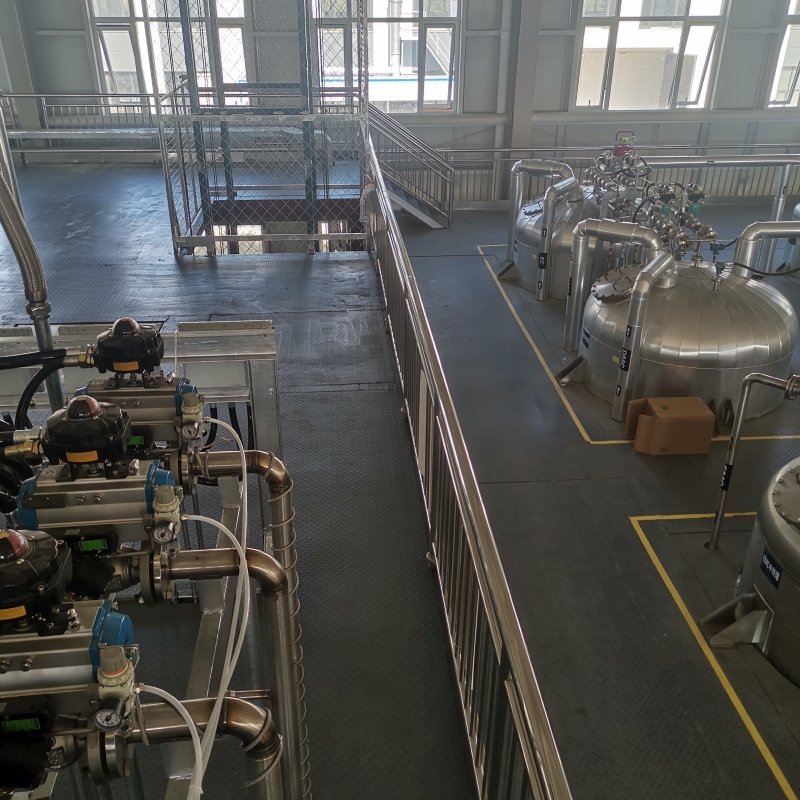 2025 Popular Electrolyte Processing Plant for Lithium Battery 220V 304 Stainless Steel Pump Motor Agitator Cuts Chemistries
