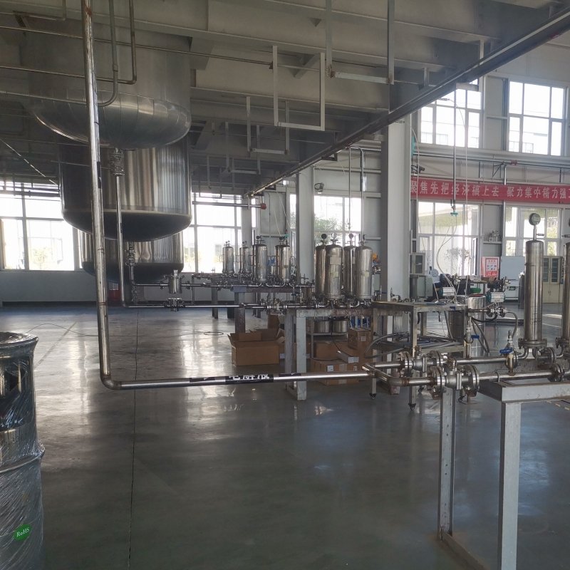2025 Popular Electrolyte Processing Plant for Lithium Battery 220V 304 Stainless Steel Pump Motor Agitator Cuts Chemistries