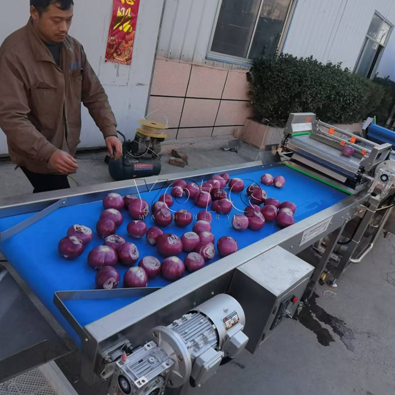 Onion Cleaning Equipment Onion Processing Plants