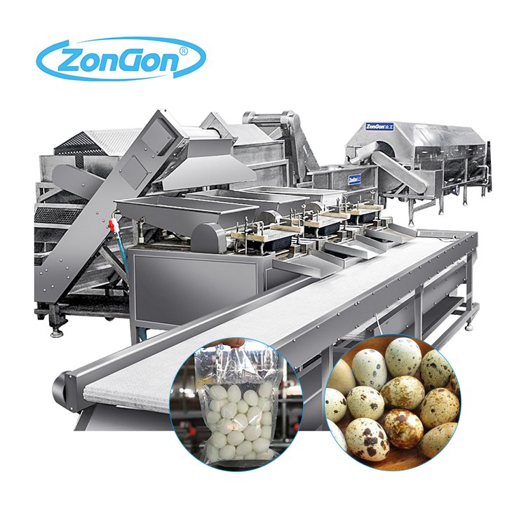 Full Automatic Peeling Quail Egg Production Cooking Shelling Machine