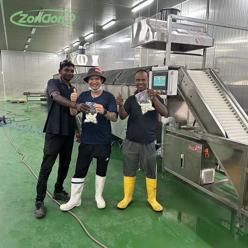 Full Automatic Peeling Quail Egg Production Cooking Shelling Machine