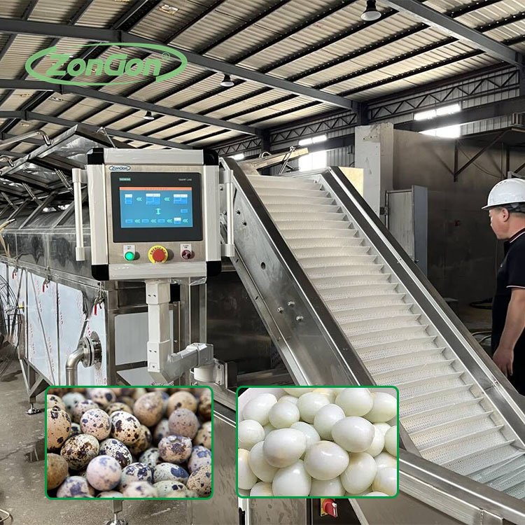 Full Automatic Peeling Quail Egg Production Cooking Shelling Machine