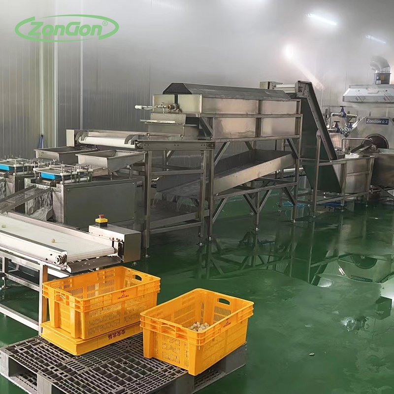 Full Automatic Peeling Quail Egg Production Cooking Shelling Machine