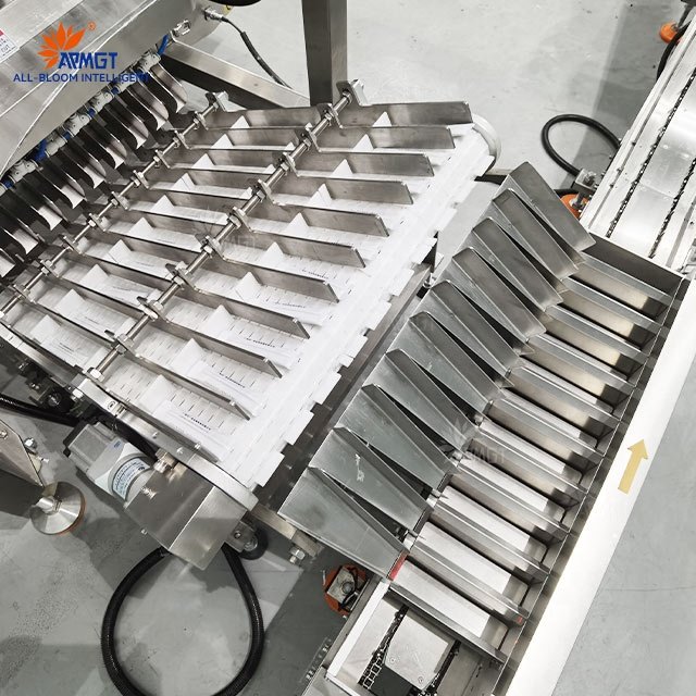 Automatic Multi Lanes Liquid Jelly Stick Filling Sealing Packaging Machine Stick Pack Liquid Packing and Boxing System