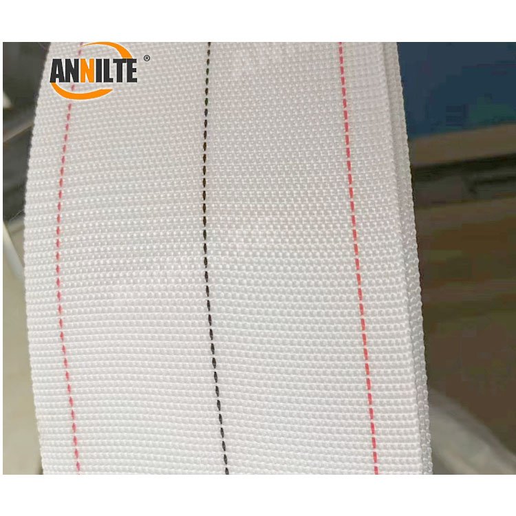 Annilte Manufacturer Customized Polypropylene Egg Collection chicken cage egg conveyor belt for layer farm chicken cages