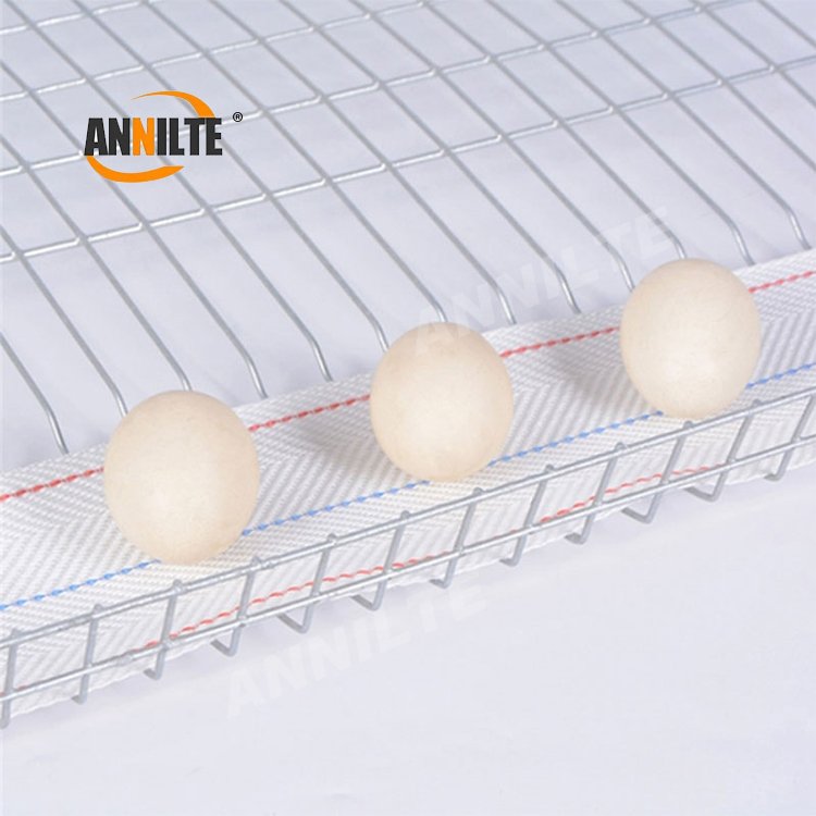 Annilte Manufacturer Customized Polypropylene Egg Collection chicken cage egg conveyor belt for layer farm chicken cages
