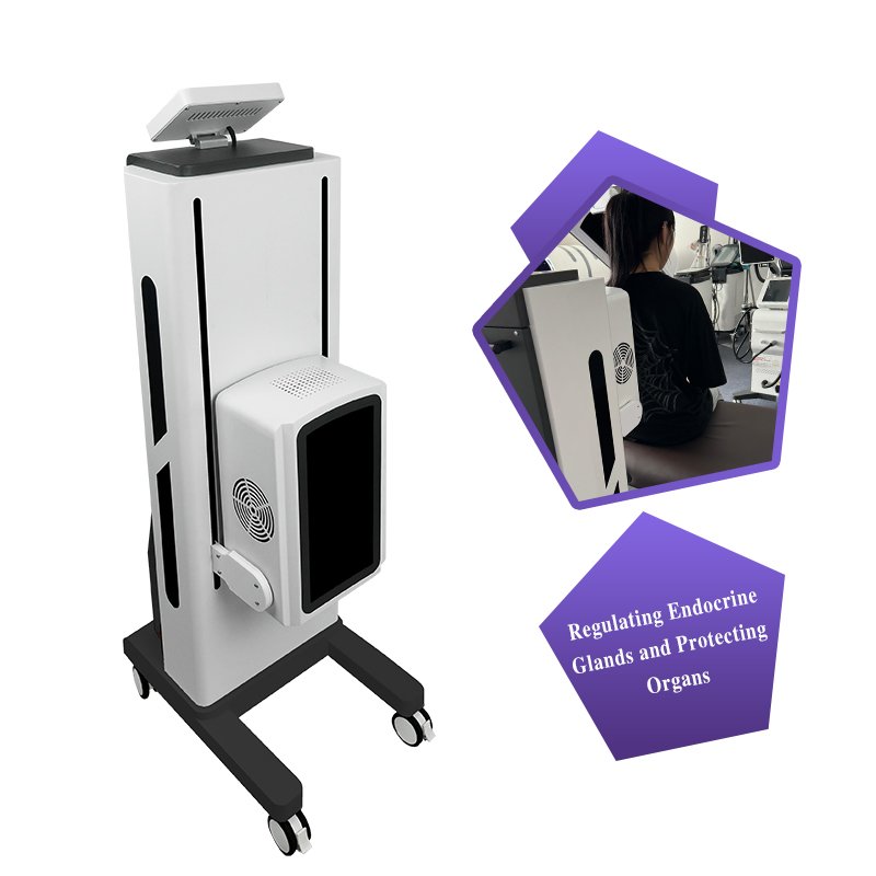 Competitive Price Physiotherapy Equipment Made in China for Relieve Pain/Repair Tissue Cells/Promote Blood Circulation