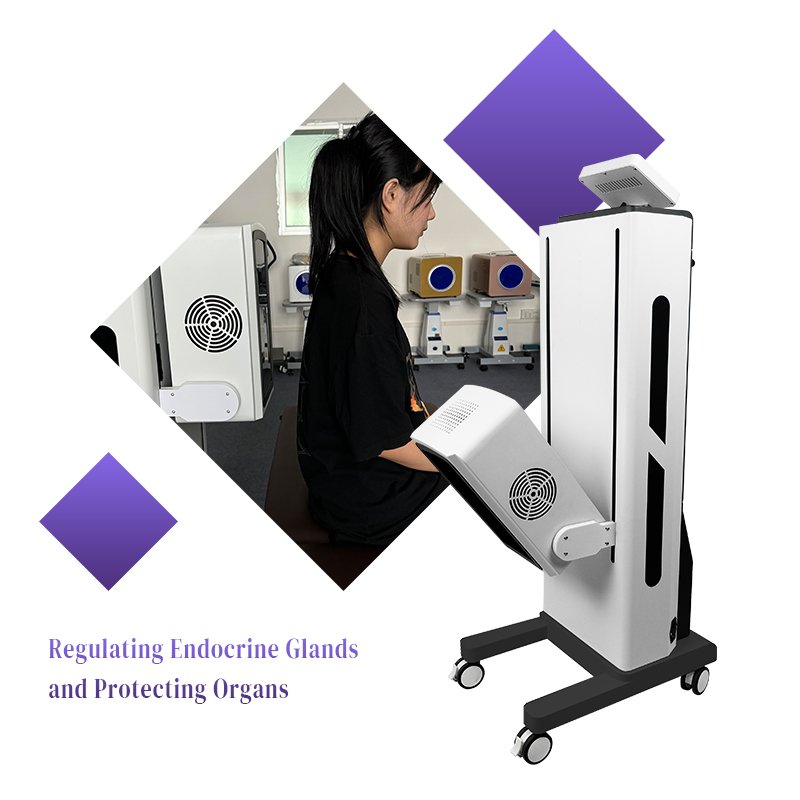 Competitive Price Physiotherapy Equipment Made in China for Relieve Pain/Repair Tissue Cells/Promote Blood Circulation