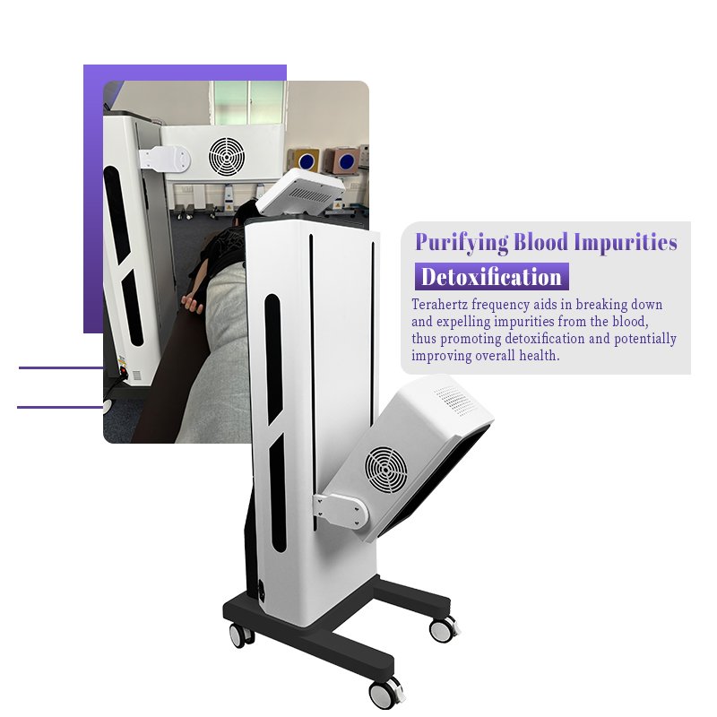 Competitive Price Physiotherapy Equipment Made in China for Relieve Pain/Repair Tissue Cells/Promote Blood Circulation