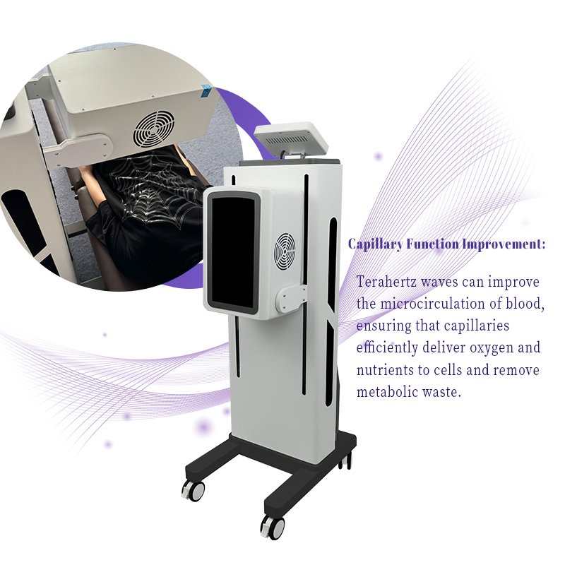 Competitive Price Physiotherapy Equipment Made in China for Relieve Pain/Repair Tissue Cells/Promote Blood Circulation
