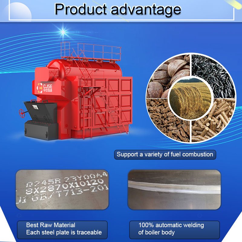 CJSE Hot Sale Biomass Fired Steam Boiler Dzl Professional Biomass Fuel Wood Pellet Boiler for Building Materials Industry