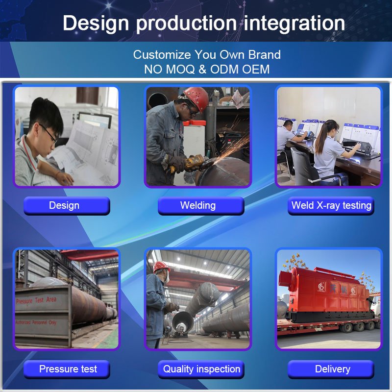 CJSE Hot Sale Biomass Fired Steam Boiler Dzl Professional Biomass Fuel Wood Pellet Boiler for Building Materials Industry