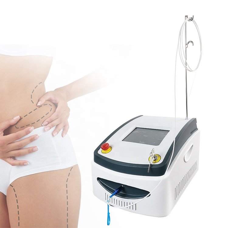2024 Hot Sale Best Price Machine Lipolysis 980nm Diode Laser Physical Therapy for Body Slimming
