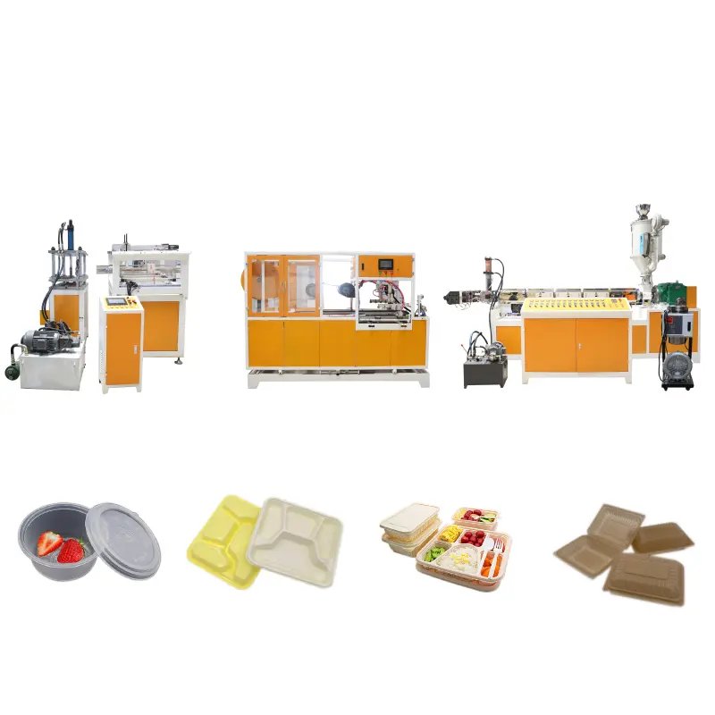Disposable Foam Plastic Take Out Container Biodegradable Boxes PET Food Storage Containers Takeaway Packaging Making Machine