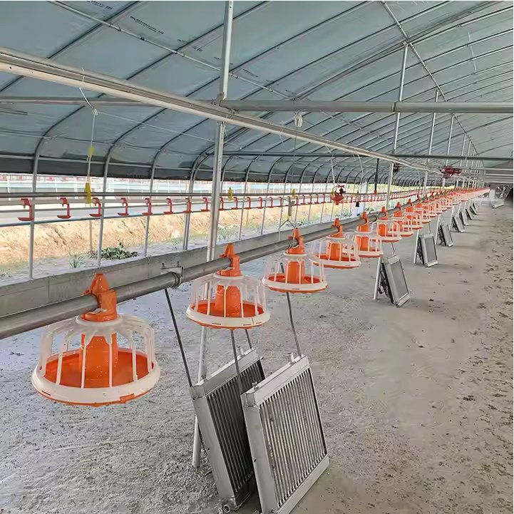 Auto Hanging Drinkers and Feeders for Chickens