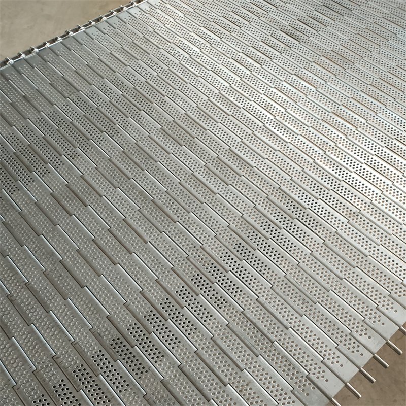 304 Stainless Steel Chain Plate Core Components Belt Assembly Line Fruit Vegetable Cleaning Transmission Food Usage Screw