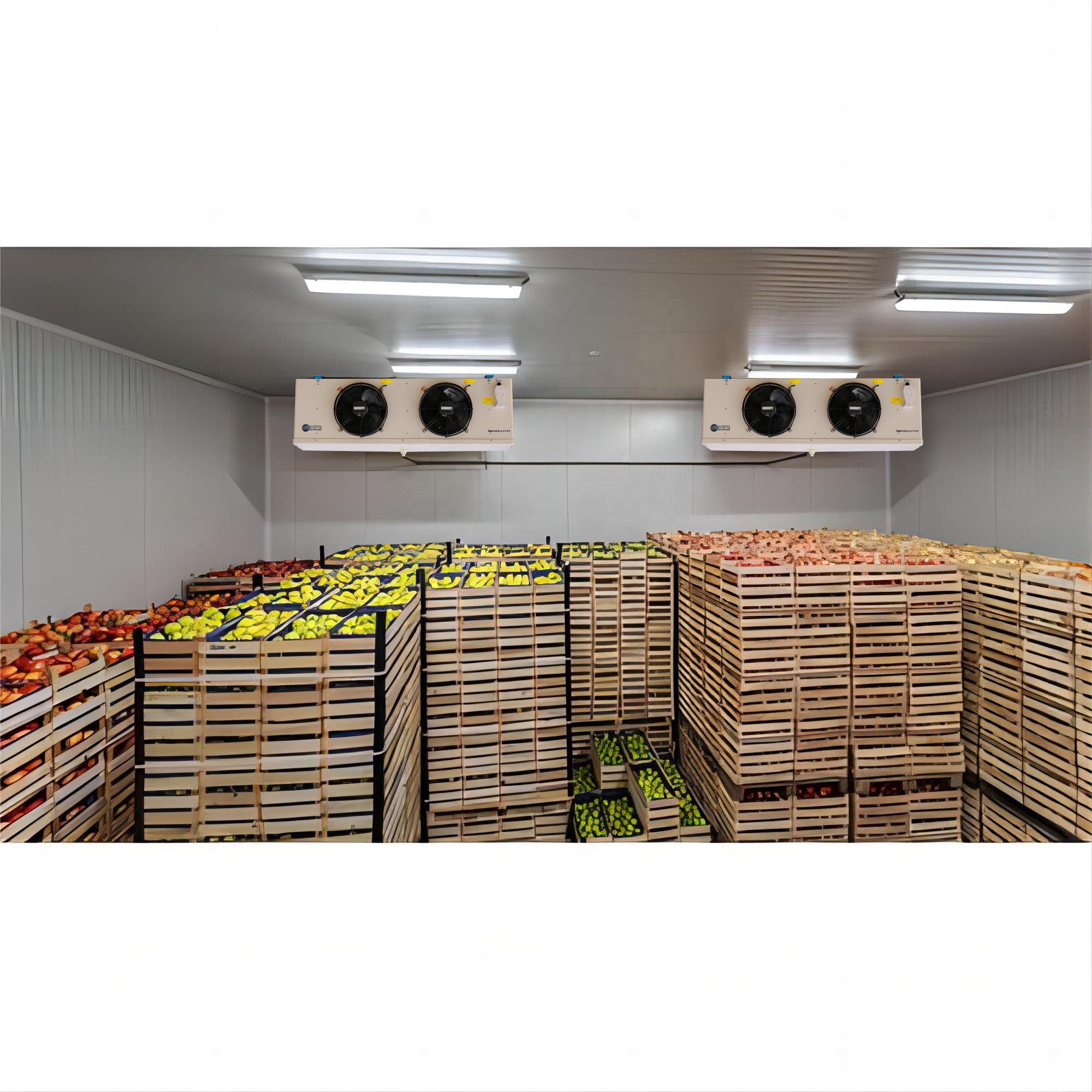 Low Temperature 8, 10, 12, 15 hp Cold Room Freezer for Chiller Container, Cryogentic Freezer, Frozen Beef Meat, Vaccine Cooler