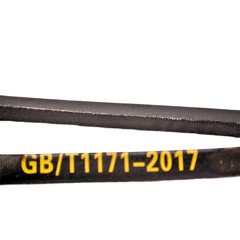 Hot Sale Products V-belt Rubber-d-type-v-belt Transmission Belts Megadyne