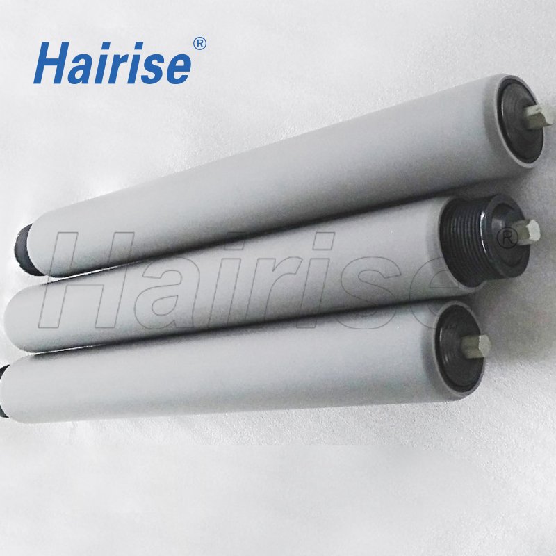 Hairise roller conveyor system
